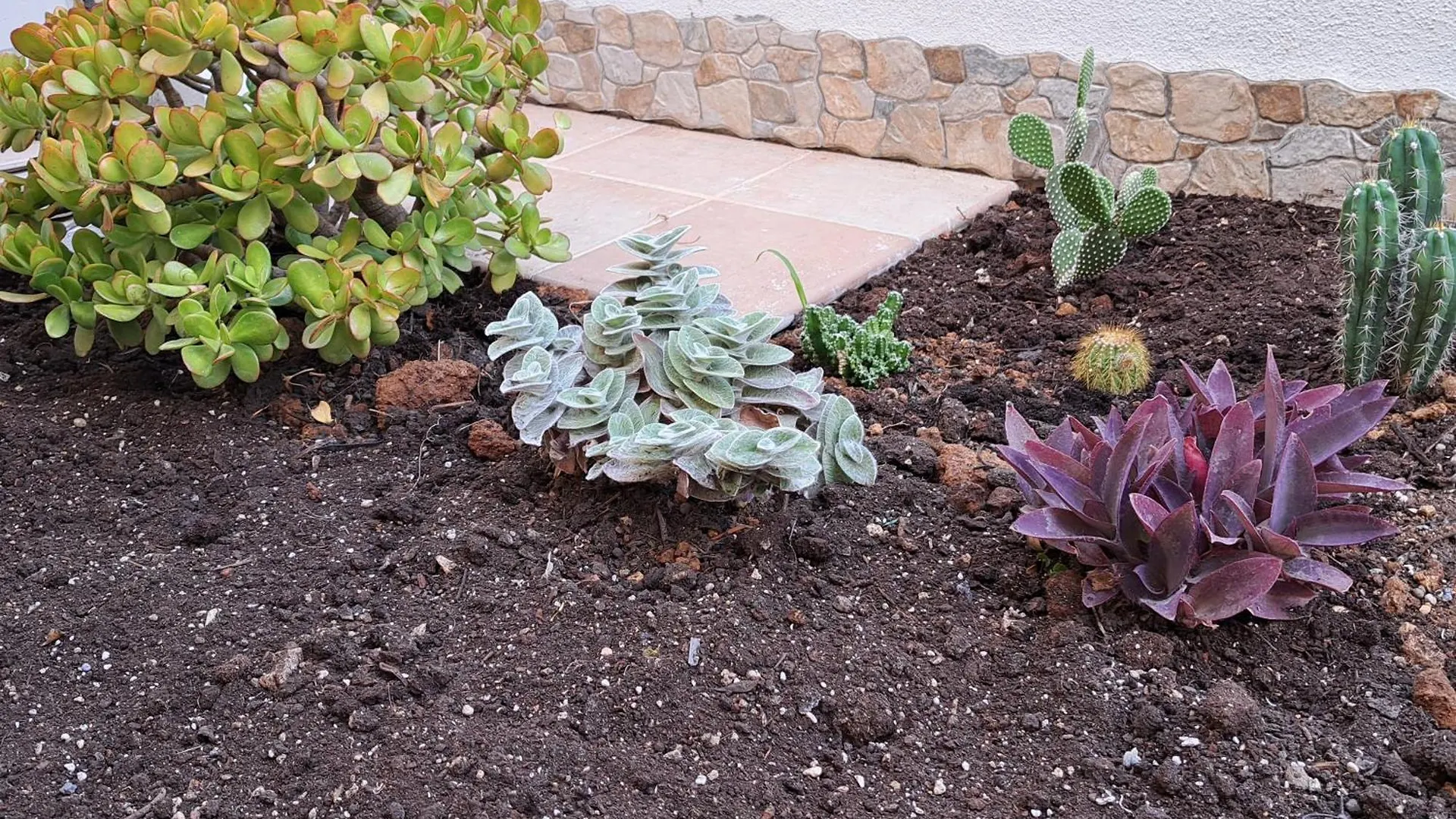 Santa Teresa Gallura Green House Italy